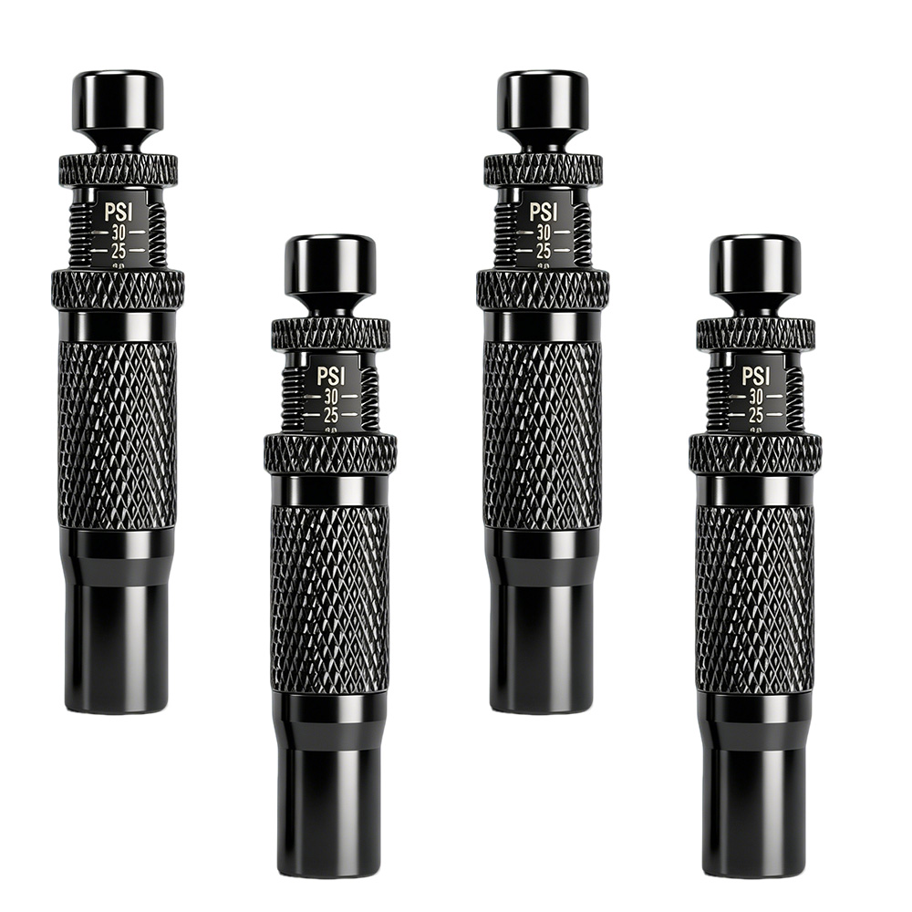 Tire Deflators Easy Twist Pres - Motorcycle Gear Adventure のレビューと価格